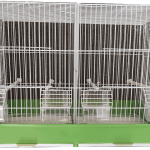 Jaula de pájaros doble - verde